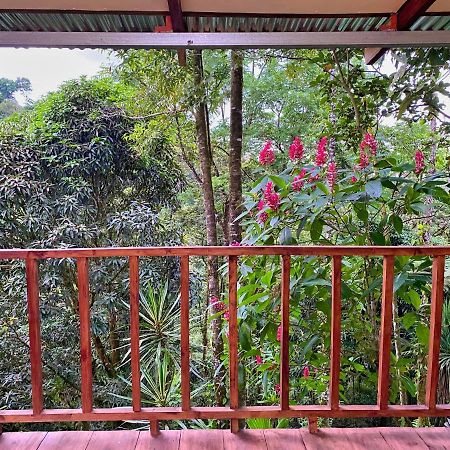 Princesa De La Luna Ecolodge La Fortuna Екстер'єр фото