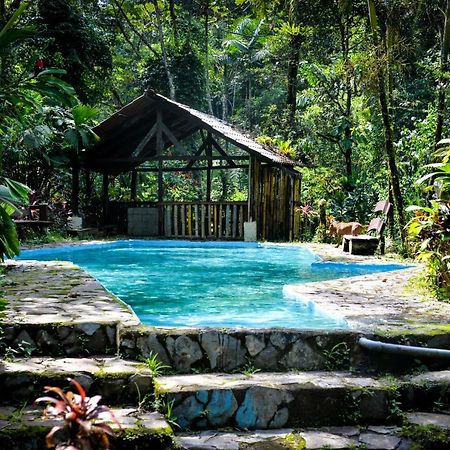 Princesa De La Luna Ecolodge La Fortuna Екстер'єр фото