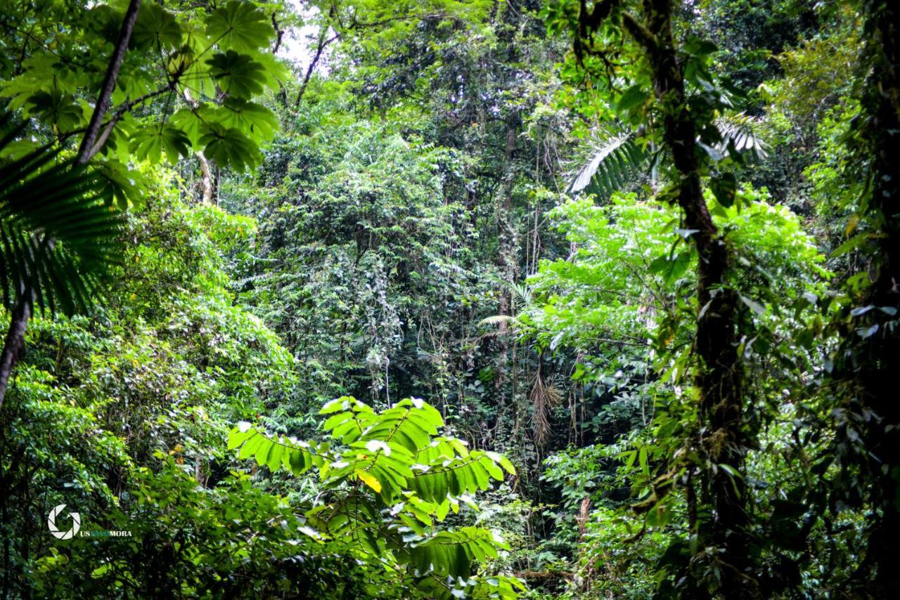 Princesa De La Luna Ecolodge La Fortuna Екстер'єр фото