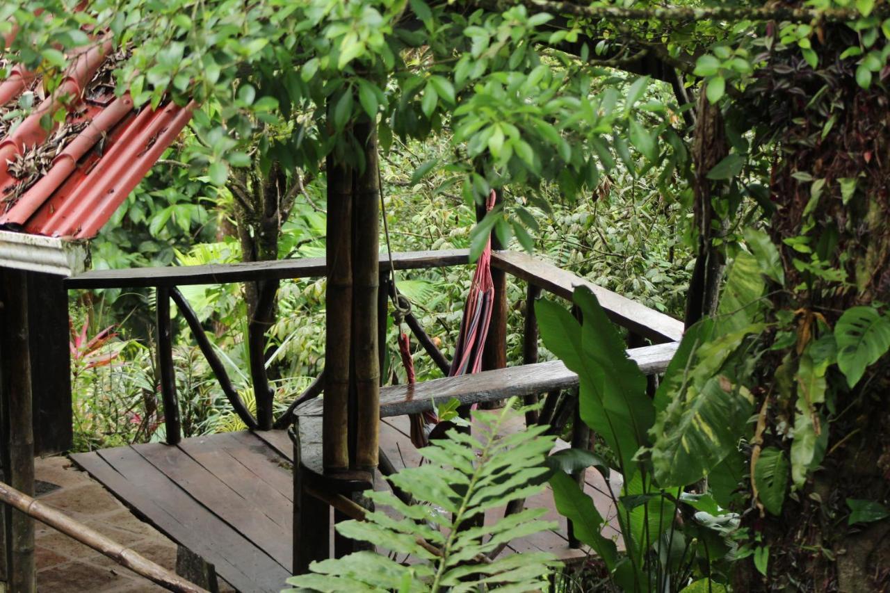 Princesa De La Luna Ecolodge La Fortuna Екстер'єр фото