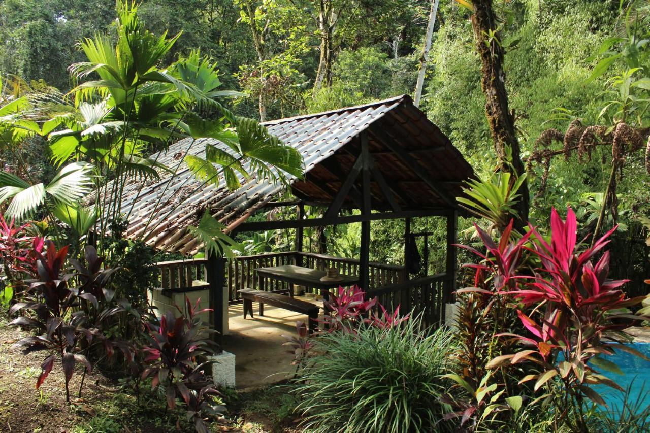 Princesa De La Luna Ecolodge La Fortuna Екстер'єр фото