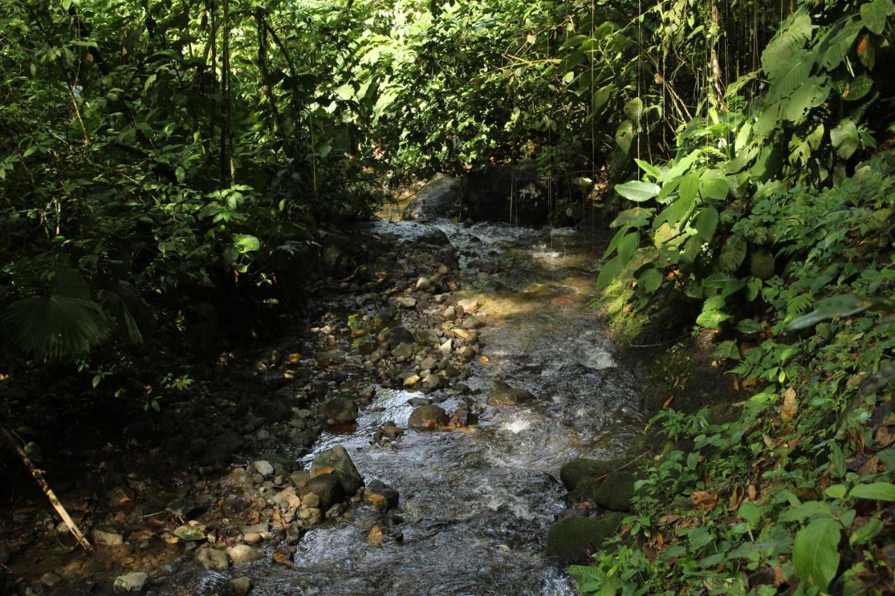 Princesa De La Luna Ecolodge La Fortuna Екстер'єр фото