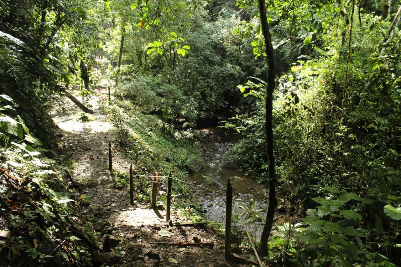 Princesa De La Luna Ecolodge La Fortuna Екстер'єр фото