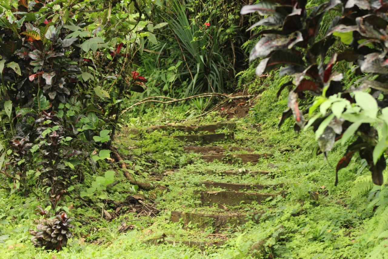 Princesa De La Luna Ecolodge La Fortuna Екстер'єр фото