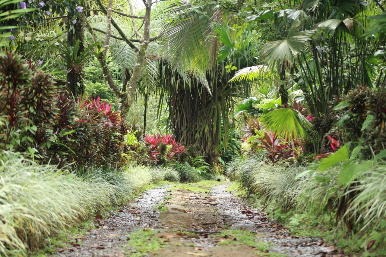 Princesa De La Luna Ecolodge La Fortuna Екстер'єр фото