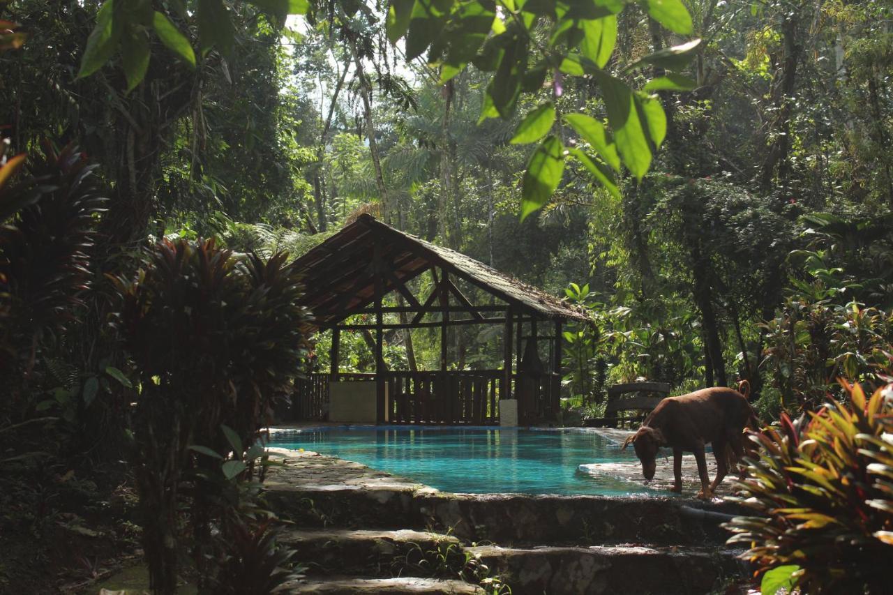 Princesa De La Luna Ecolodge La Fortuna Екстер'єр фото