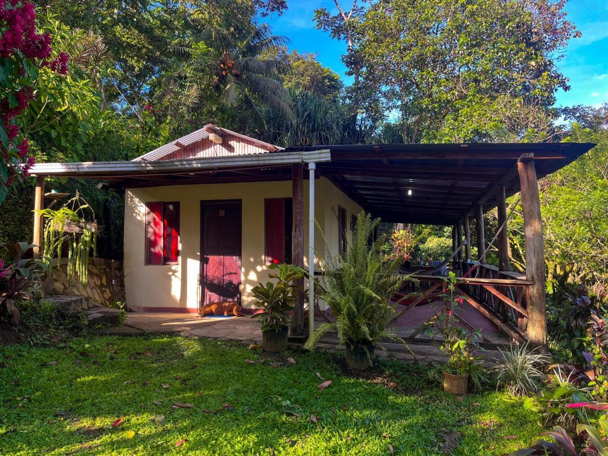 Princesa De La Luna Ecolodge La Fortuna Екстер'єр фото