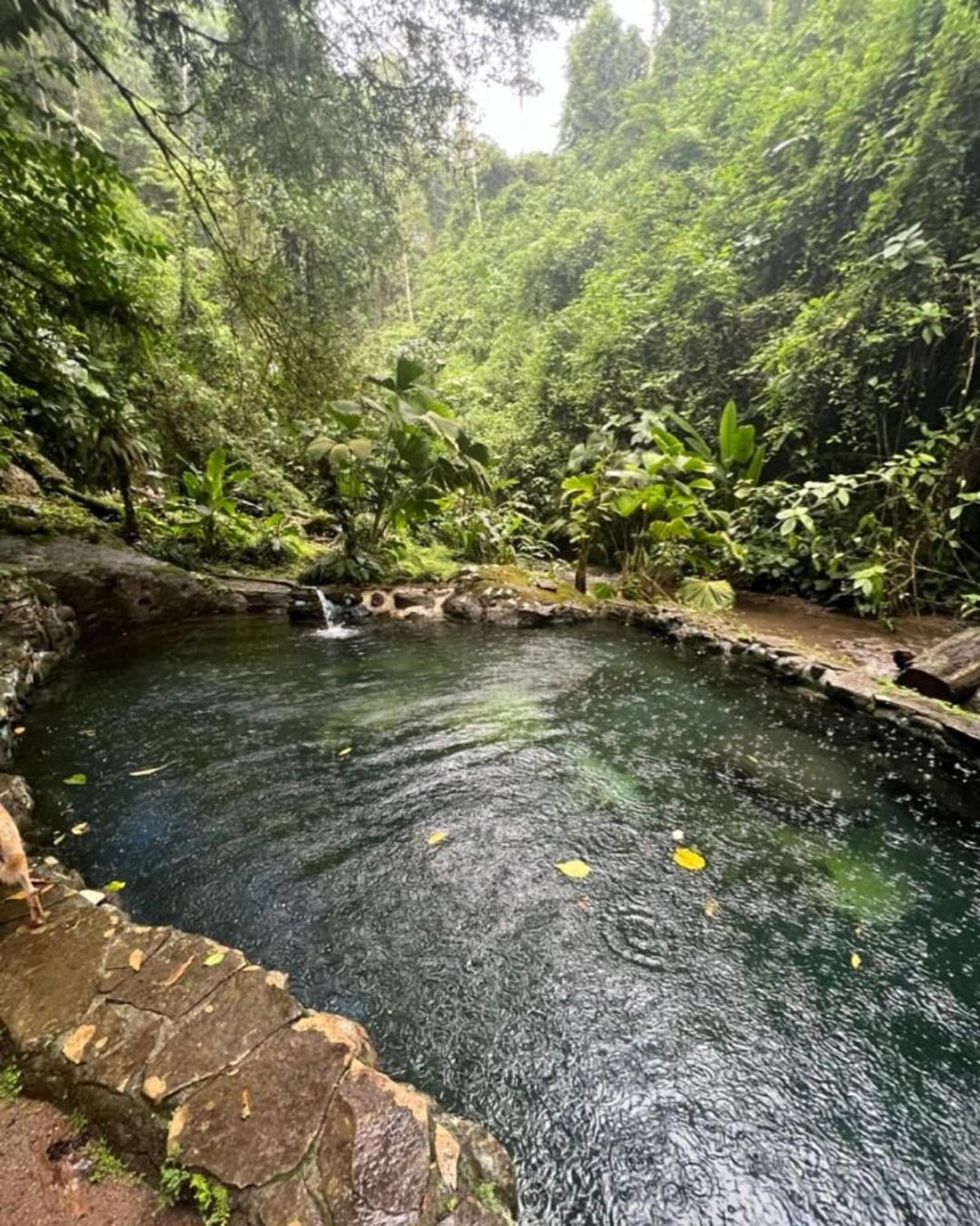Princesa De La Luna Ecolodge La Fortuna Екстер'єр фото
