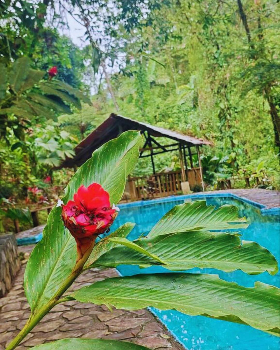 Princesa De La Luna Ecolodge La Fortuna Екстер'єр фото