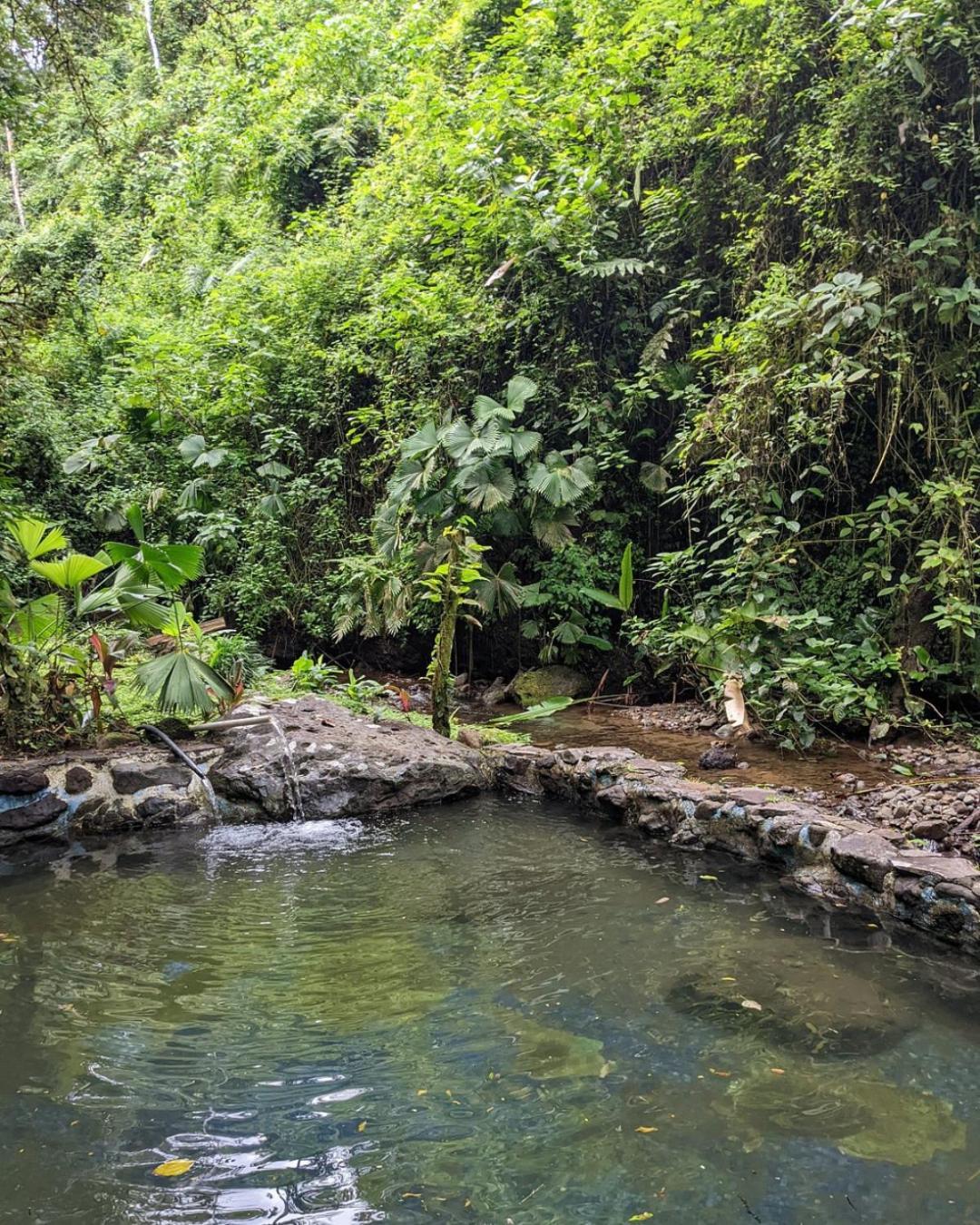 Princesa De La Luna Ecolodge La Fortuna Екстер'єр фото