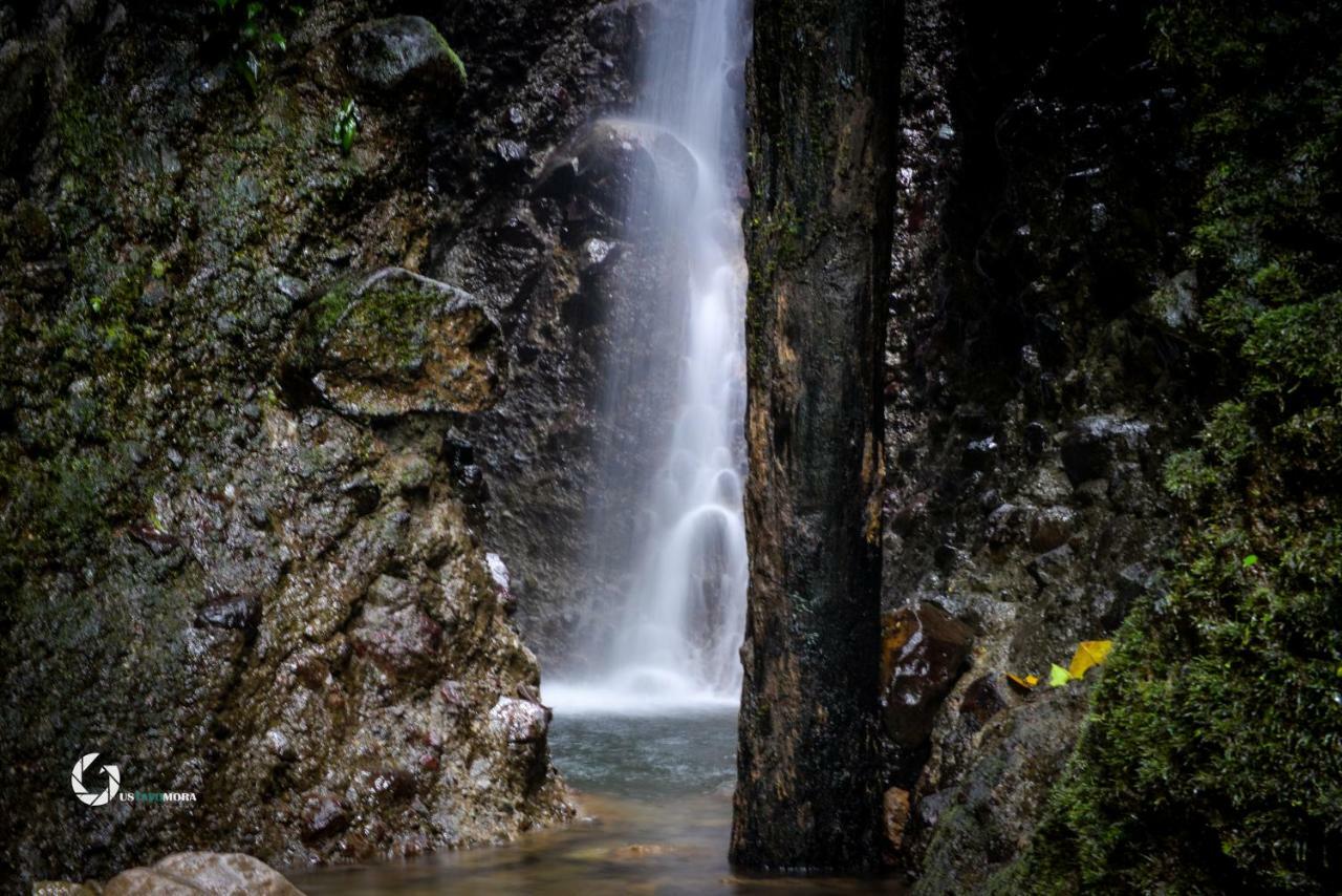 Princesa De La Luna Ecolodge La Fortuna Екстер'єр фото