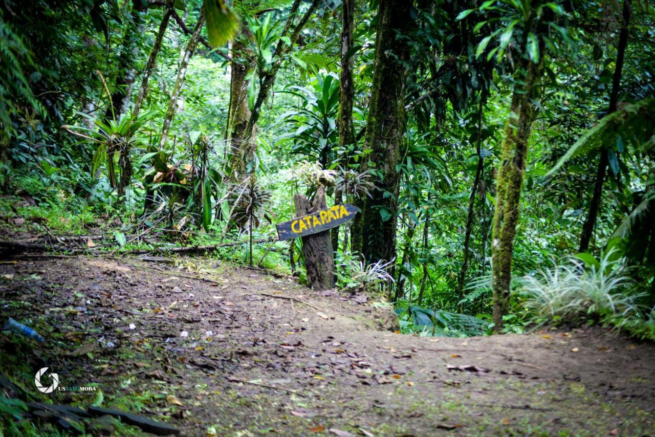 Princesa De La Luna Ecolodge La Fortuna Екстер'єр фото