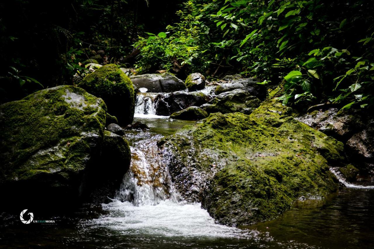 Princesa De La Luna Ecolodge La Fortuna Екстер'єр фото