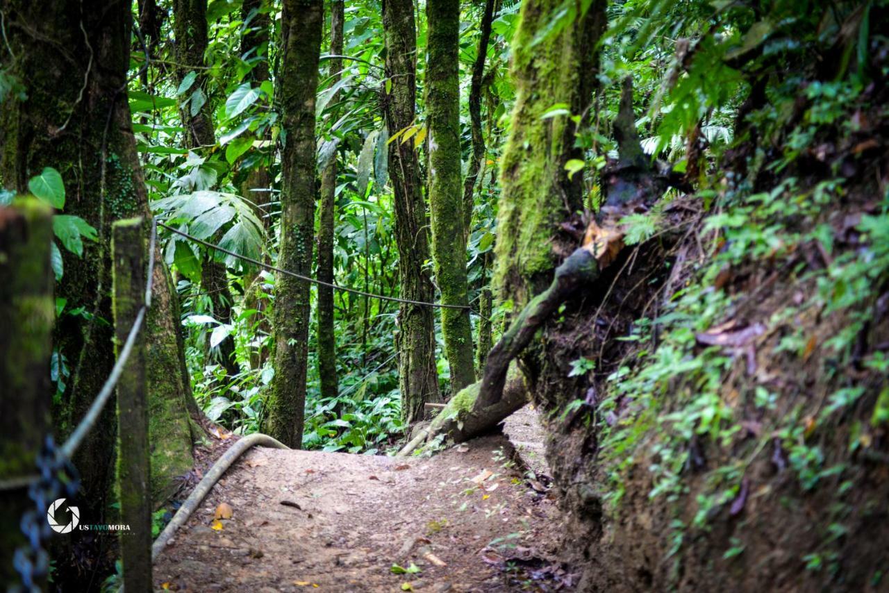 Princesa De La Luna Ecolodge La Fortuna Екстер'єр фото